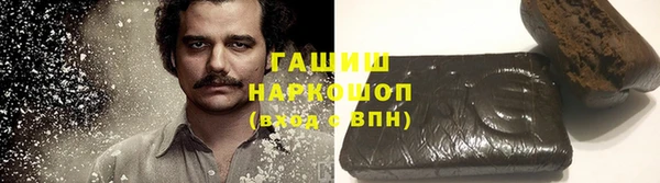 стаф Гусев