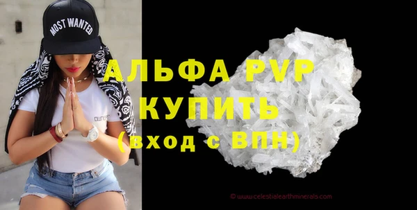 стаф Гусев
