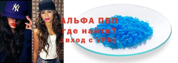 стаф Гусев