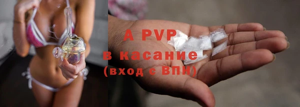 стаф Гусев
