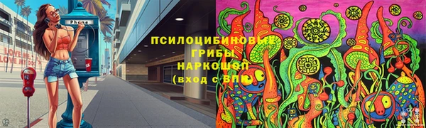 стаф Гусев