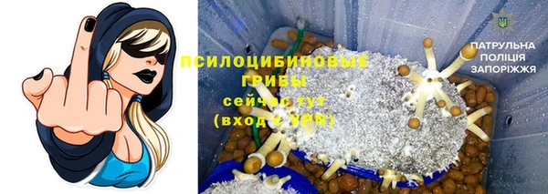 прущие крисы Гусь-Хрустальный