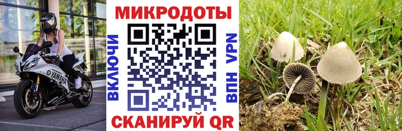 Галлюциногенные грибы прущие грибы  Купить  Каргополь 